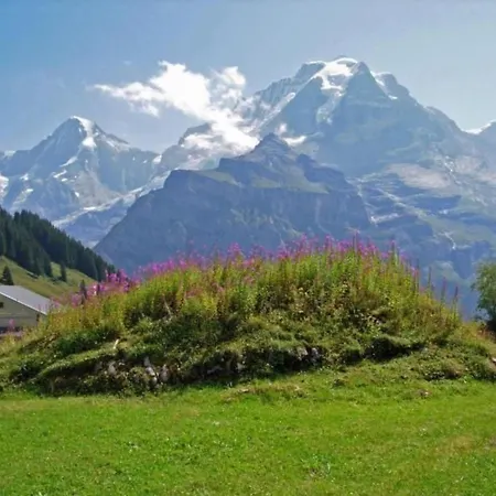 Am Lehn By Interhome * Wilderswil