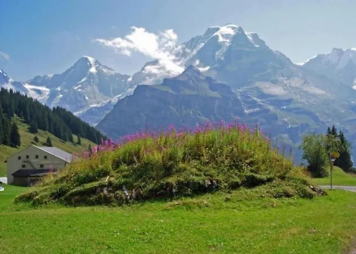 Am Lehn By Interhome * Wilderswil