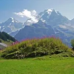 Am Lehn By Interhome * Wilderswil